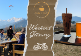 Cafe 3 Sixty Services